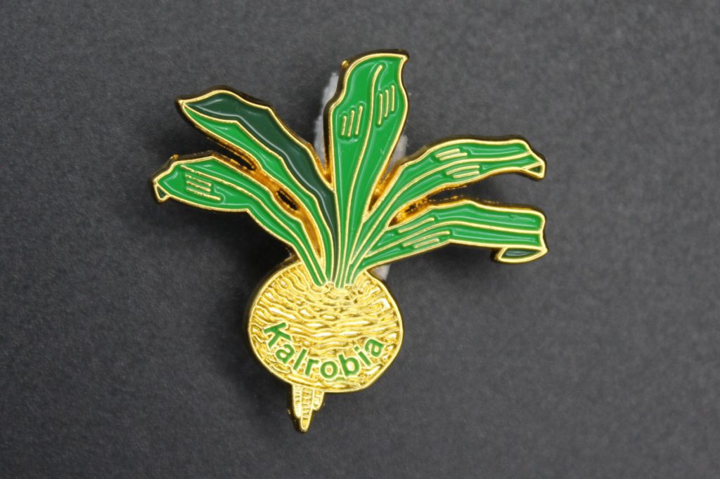 2018 Pin Igersheim