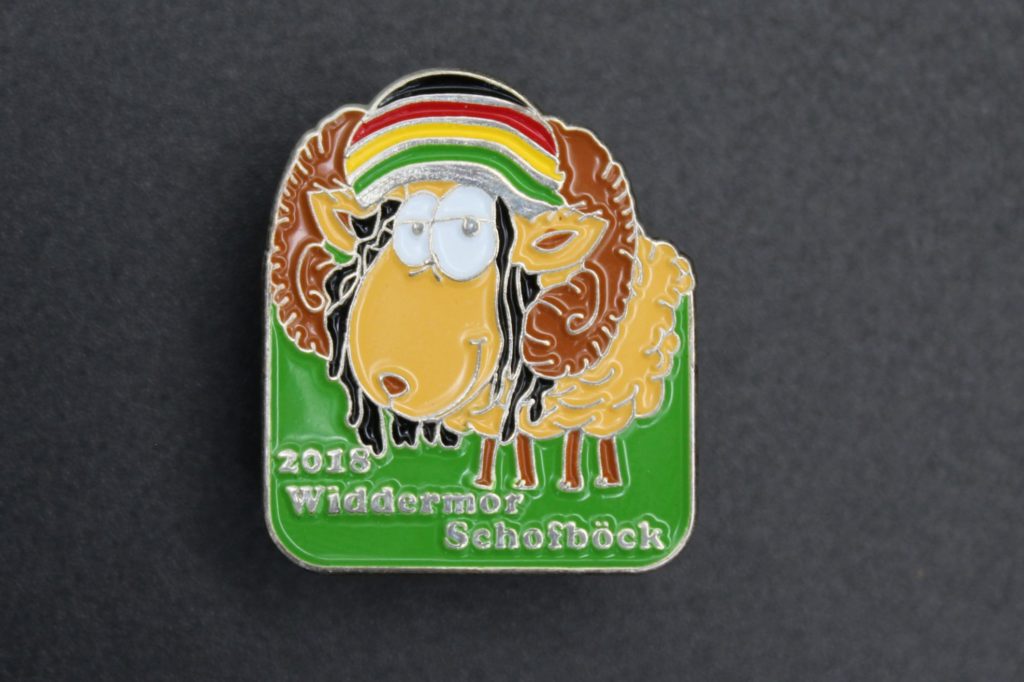2018 Pin Widdern