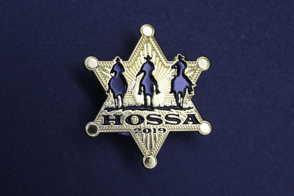 2019 Pin Schefflenz