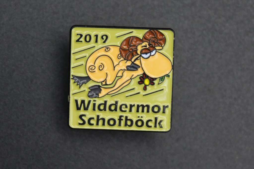 2019 Pin Widdern
