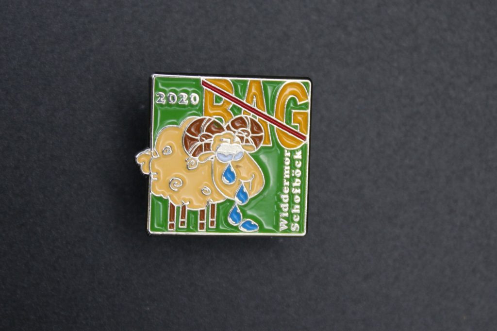 2020 Pin Widdern